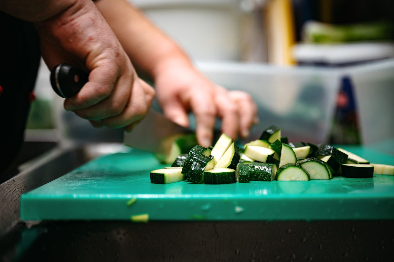 Catering in Bioqualität